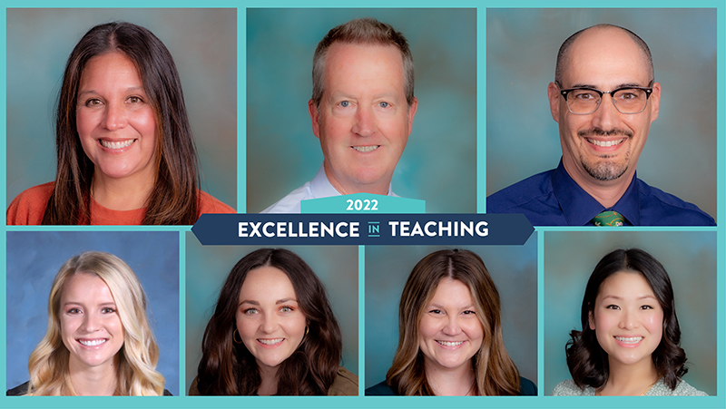 excellence in teaching