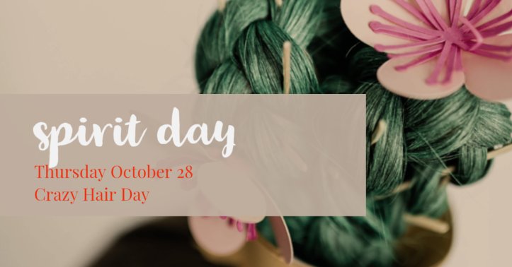 Spirit Day - Crazy Hair Day October 28