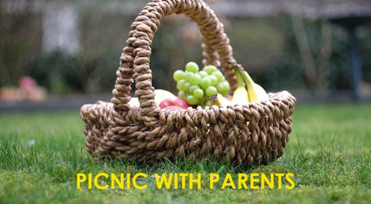 Picnic with Parents