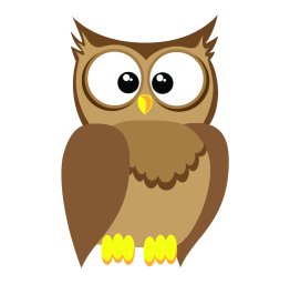 Oak Creek Owl
