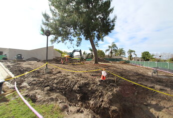 Excavated dirt and a large pine tree surrounded by yellow caution tape at a construction site.