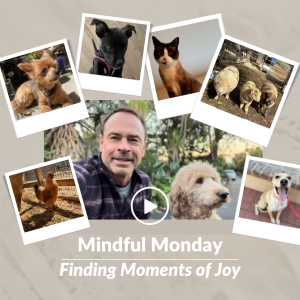 Mindful Monday Dec. 19 Finding Moments of Joy